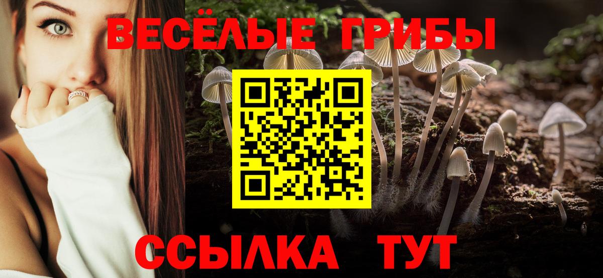 Галлюциногенные грибы GOLDEN TEACHER Нягань
